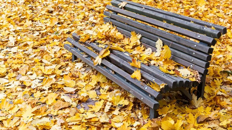 Budget date remains to be confirmed | Accountants in Mullion | Accountants in North Petherwin