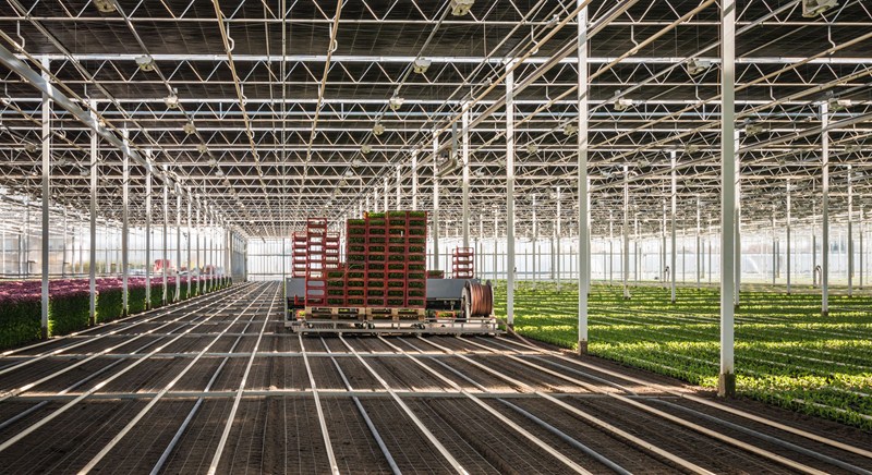 structures and building allowance qualifying expenditure