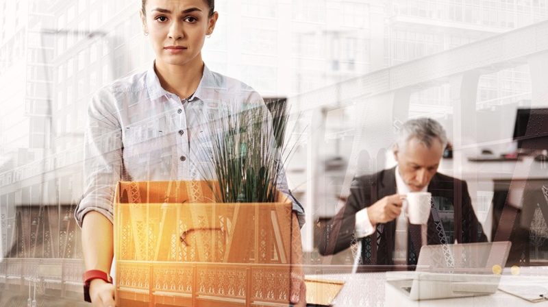 NIC Act 2019 receives Royal Assent | Accountants in Hazeldean