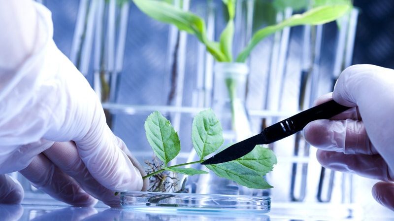 Research and Development tax reliefs | Accountants in Pipers Pool | Accountants in Pool