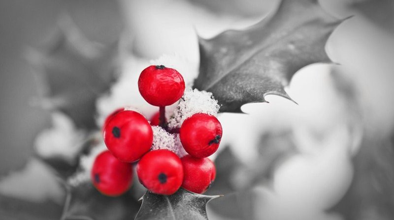 Planning a Christmas party? | Accountants in Germoe | Accountants in Millpool | Accountants in Notter Accountants in Magdalen Laver | Accountants in Pengegon | Accountants in Polpeor