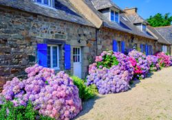 Furnished holiday let qualifying tests | Accountants in Whitnash | Accountants in West midlands | Accountants in Wiltshire | Accountants in Wick | Accountants in Berriedale Highland | Accountants in Bollington | Accountants in Aston By Sutton | Accountants in Chorley Macclesfield | Accountants in Crewe Green | Accountants in Dunham On The Hill | Accountants in Eaton Near Macclesfield | Accountants in Grappenhall | Accountants in High Legh | Accountants in Ledburn | Accountants in Little Marsh | Accountants in New Denham | Accountants in Pednor Bottom | Accountants in Preston Bissett | Accountants in Stockgrove | Accountants in West Wycombe | Accountants in Whelpley Hill | Accountants in Southgate | Accountants in Tooting | Accountants in Horningtops | Accountants in Egham | Accountants in Uffculme