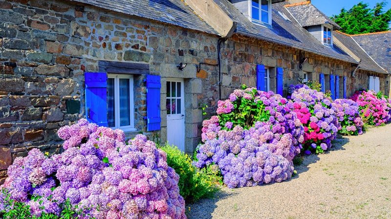 Furnished holiday let qualifying tests | Accountants in Whitnash | Accountants in West midlands | Accountants in Wiltshire | Accountants in Wick | Accountants in Berriedale Highland | Accountants in Bollington | Accountants in Aston By Sutton | Accountants in Chorley Macclesfield | Accountants in Crewe Green | Accountants in Dunham On The Hill | Accountants in Eaton Near Macclesfield | Accountants in Grappenhall | Accountants in High Legh | Accountants in Ledburn | Accountants in Little Marsh | Accountants in New Denham | Accountants in Pednor Bottom | Accountants in Preston Bissett | Accountants in Stockgrove | Accountants in West Wycombe | Accountants in Whelpley Hill | Accountants in Southgate | Accountants in Tooting | Accountants in Horningtops | Accountants in Egham | Accountants in Uffculme