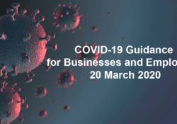 Covid-19-Guidance-for-Businesses-and-Employees-20-March-2020-1.jpg