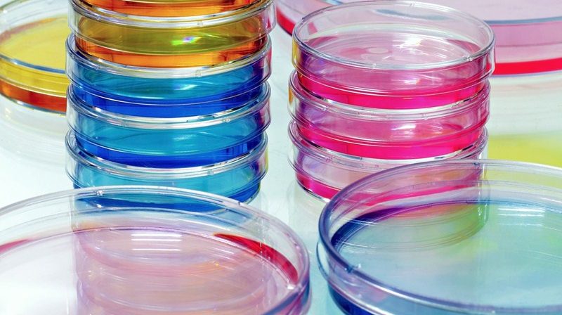 Update on proposed coronavirus