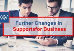 Further Changes in Supportsfor Business