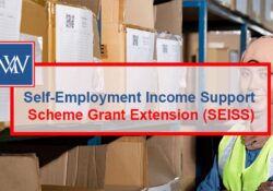 SEISS grant extension