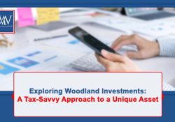 Exploring Woodland Investments: A Tax-Savvy Approach to a Unique Asset